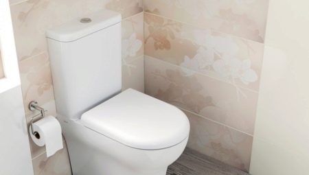 Features of the toilet seat with microlift