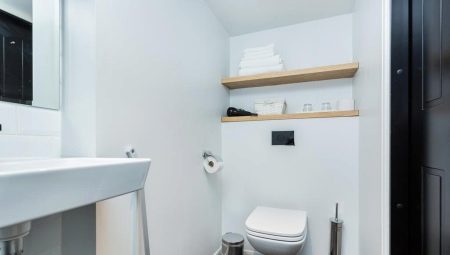 Shelves in the toilet: varieties, choices and examples