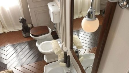 Retro toilets: style features and manufacturers overview
