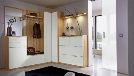 Wardrobe in a small hallway: types and choices