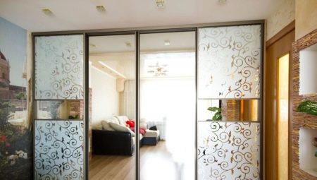Wardrobes in the whole wall in the living room: what are and how to choose?
