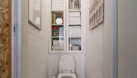 Cabinets in the toilet: what are and what model to choose?