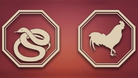 Snake and Rooster compatibility in various fields