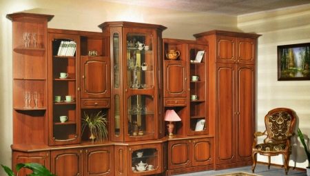 Wall in the living room without a niche for TV: pros and cons, choice and placement