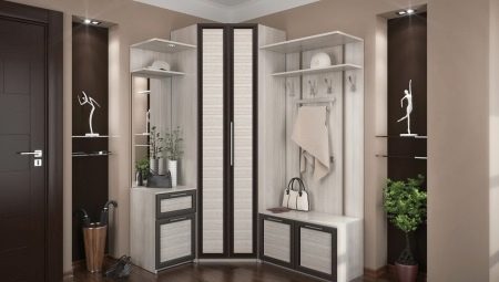Corner wardrobe in the hallway: design, size and choice