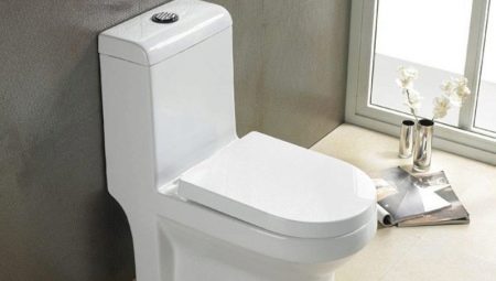 Lavabo monobloc: característiques i recomanacions per a la seva selecció