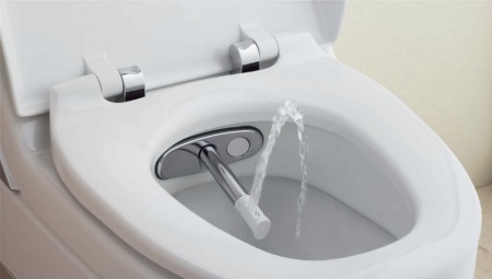 Bidet toilet: description, varieties and model range