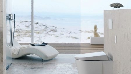 Geberit toilets: features and model range