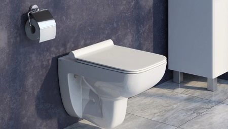Iddis toilets: lineup, pros and cons, selection recommendations