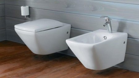 Jacob Delafon toilets: features and model range