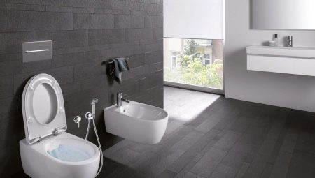 Keramag toilets: lineup, features and specifications