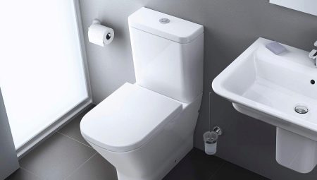 Rosa toilets: product overview