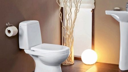 Direct-release toilets: design, advantages and disadvantages, selection tips