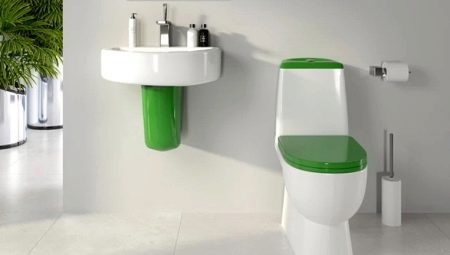 Sanita toilets: description and model range