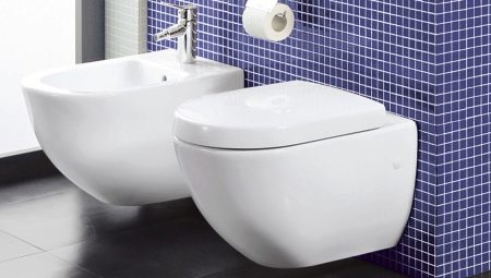 Villeroy & Boch toilets: description and range