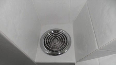 Fans in the toilet: an overview of the types and manufacturers, selection tips