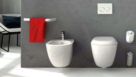 Types of toilets in a bowl: what are and how to choose?