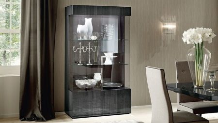 Vetrine per il soggiorno: varietà, scelte, esempi