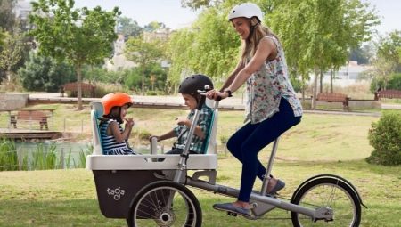 Tot sobre els seients amb bicicleta per a nadons