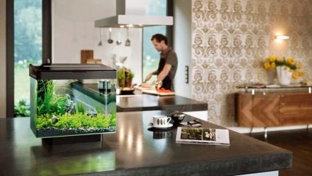 All about aquariums: types, selection and application