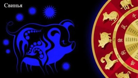 Female Pig: Feature and Compatibility