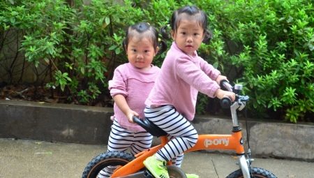 2 in 1 runbike: best manufacturers and best practices