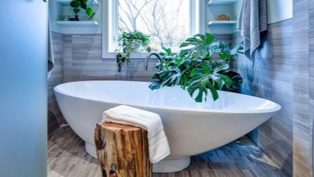 Flowers in the bathroom: types, recommendations for choice