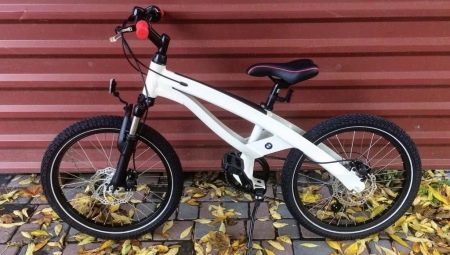 Bici per bambini BMW: una panoramica dei modelli più diffusi