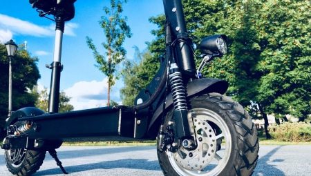 Electric scooters Halten: description of models and instruction manual