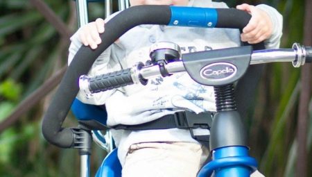 Characteristics and features of bicycles Capella