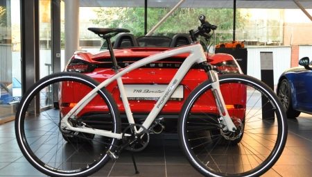 Porsche Bicycle Model Features