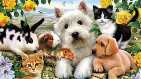 Which pet is better to have in an apartment?