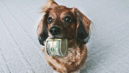 Pet tax in Russia