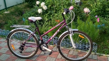 Foxx Bike Product Range Overview