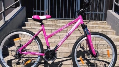 Bicycle review Horst