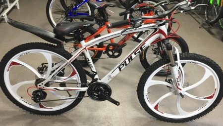 Pulse Bicycle Review