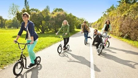 Features of models of scooters Yedoo and rules for their choice