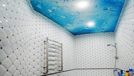 False ceilings in the bathroom: features, varieties, design