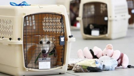 Peraturan pengangkutan haiwan