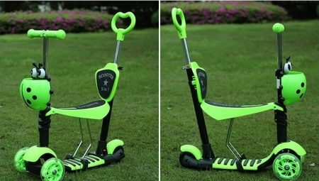 5 in 1 scooters: the best manufacturers and operating rules