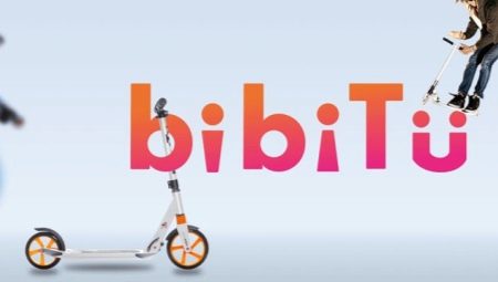 Bibitu scooters: the best models and features of operation