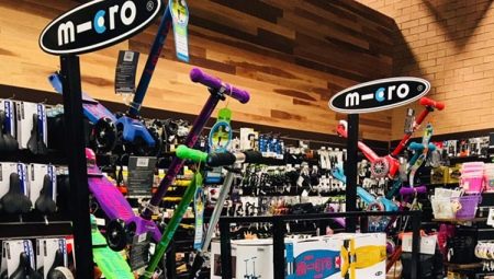 Micro scooters: varieties, choice, use