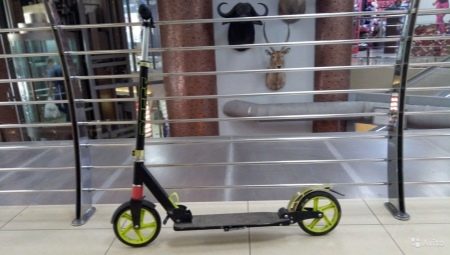 Roces scooters: pros and cons, varieties, tips for choosing