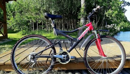 26 inch MTB Bike: Features and Species