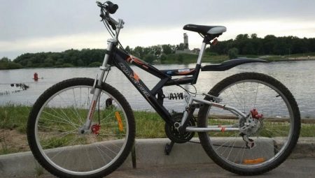 Bicycles Challenger: lineup and subtleties of choice