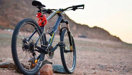 Hardtail bikes: what is it and how to choose them?