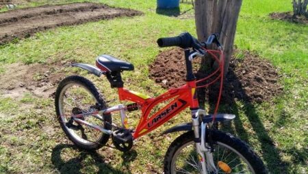 Larsen bikes: models, selection tips