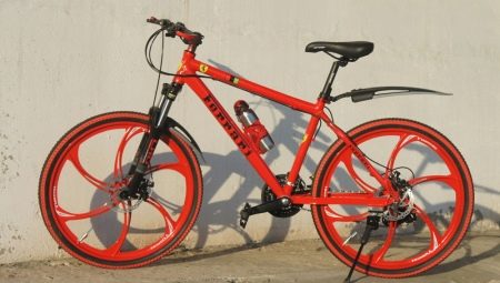 Bicycles on alloy wheels: pros and cons, choice