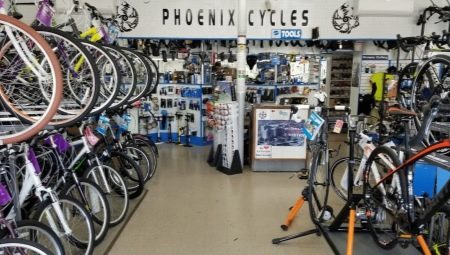 Phoenix Bikes: Product Line Overview