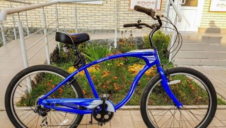 Schwinn Bikes: Model Descriptions and Selection Criteria